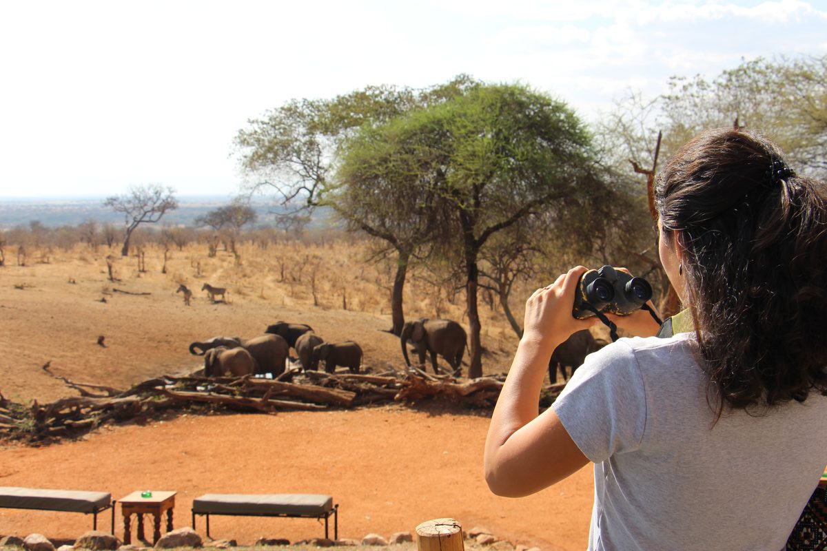The landscapes of East Africa