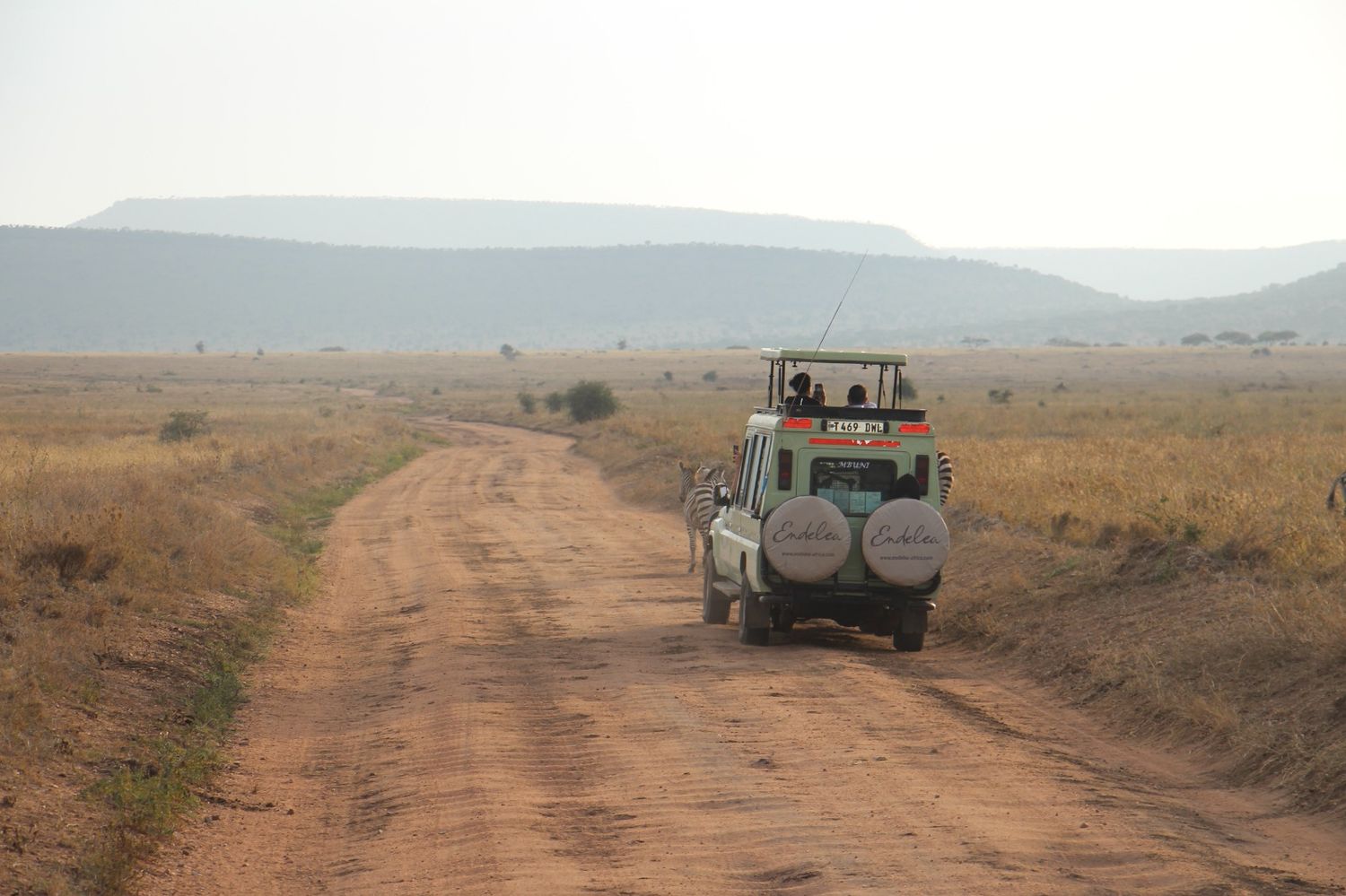 Guests on an Endelea safari