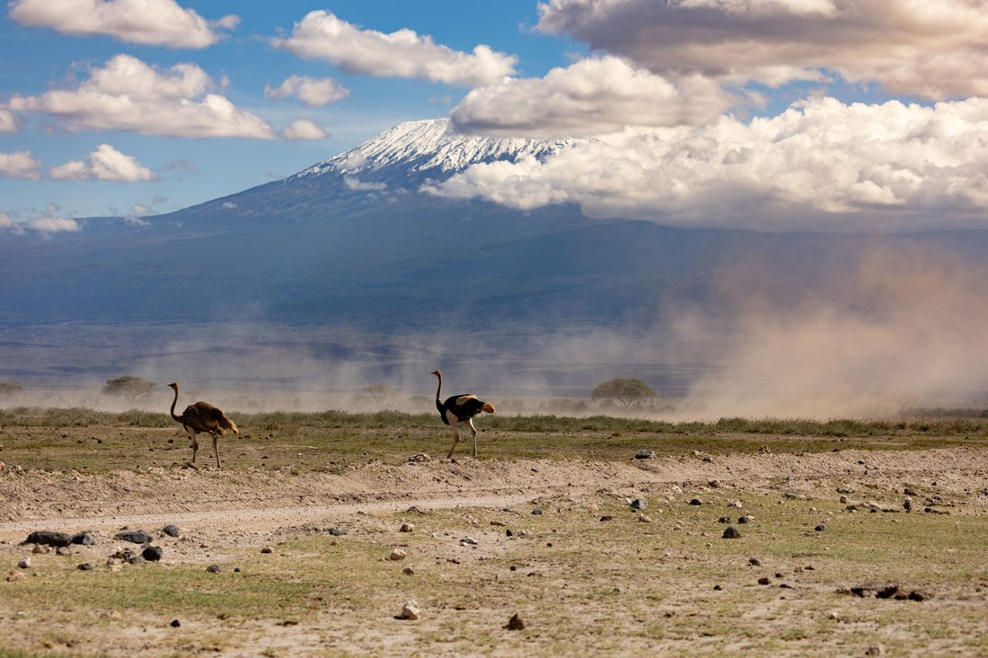 Amboseli Hot-Air Balloon Safari