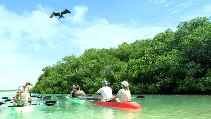 Zanzibar Mangrove Kayaking