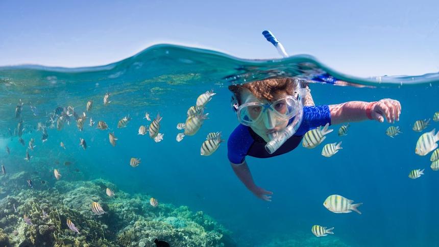 Mnemba Atoll Snorkelling