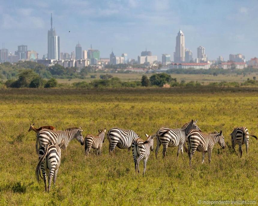 Nairobi National Park Game Drive