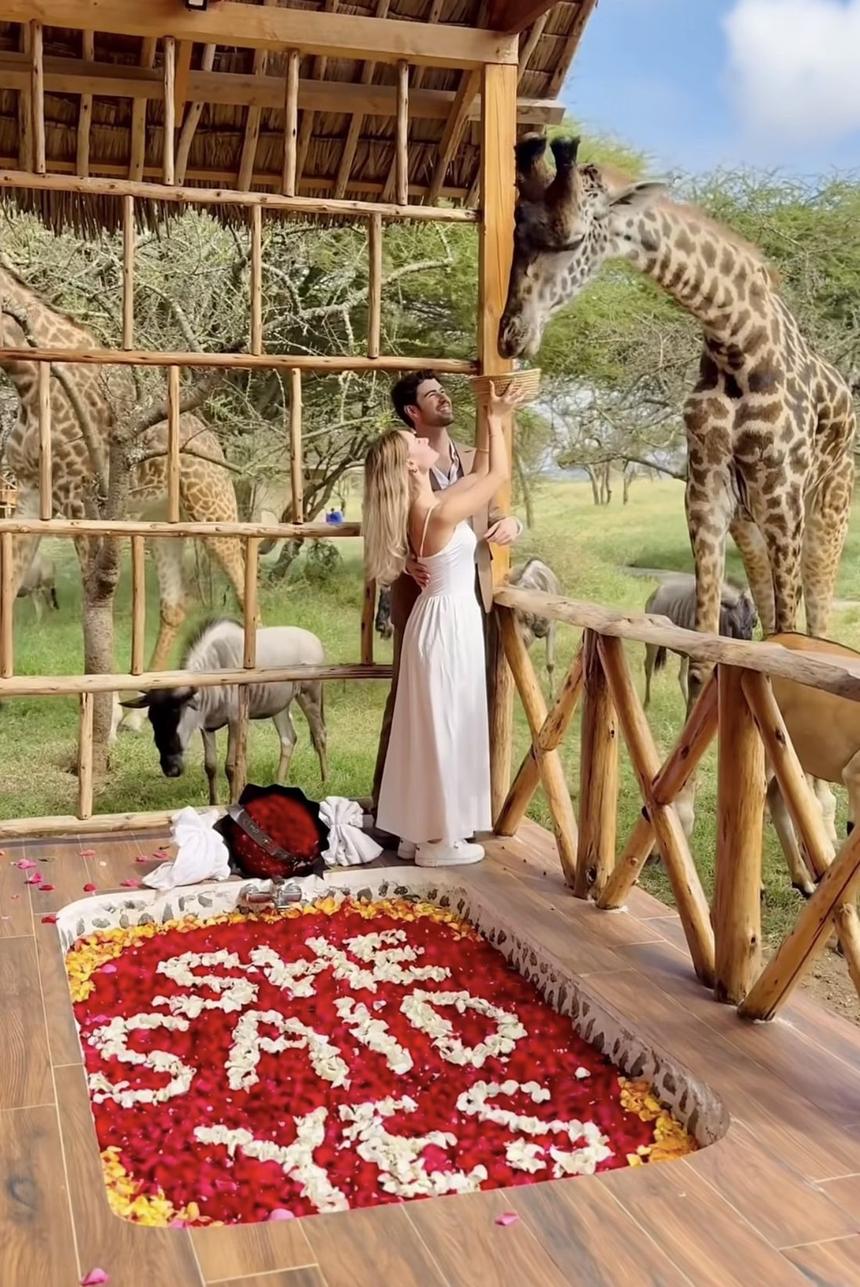 Safari Proposal