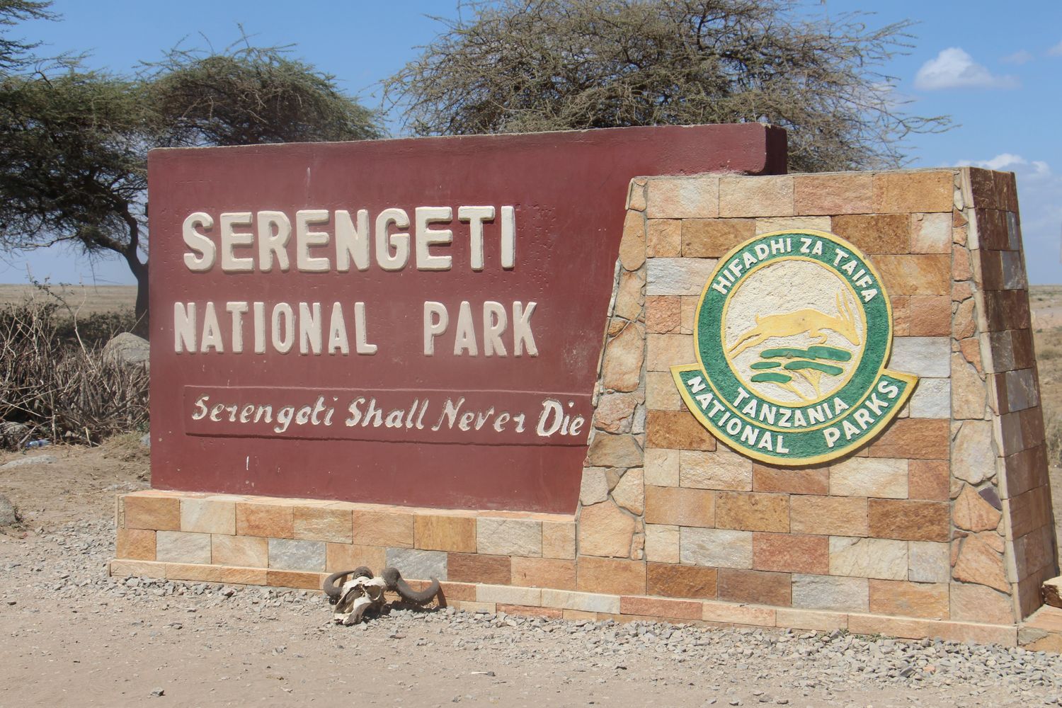 A moment from an Endelea safari