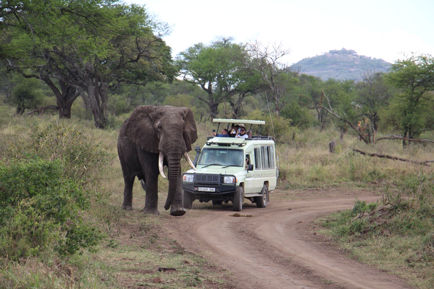 A moment from an Endelea safari