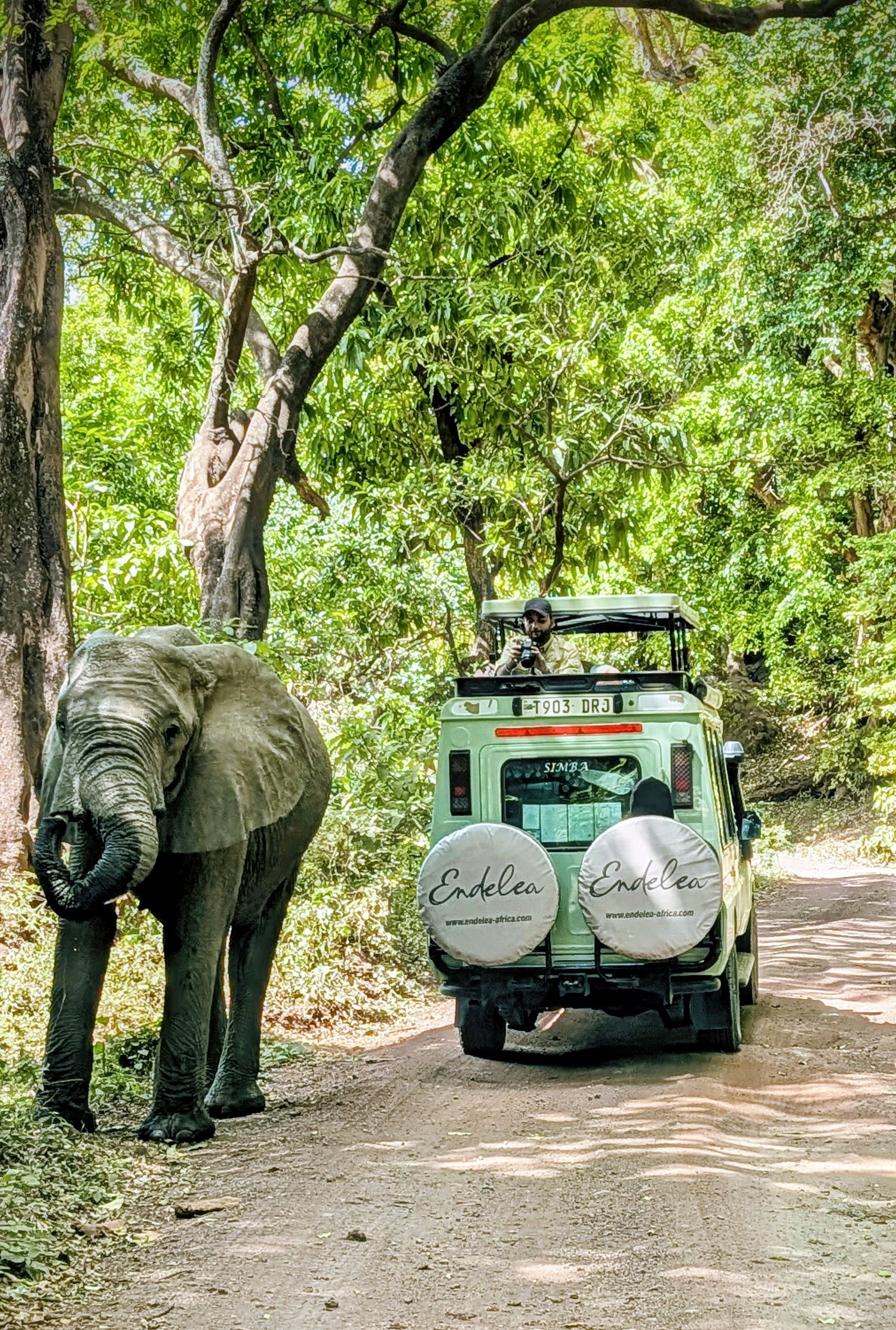 A moment from an Endelea safari
