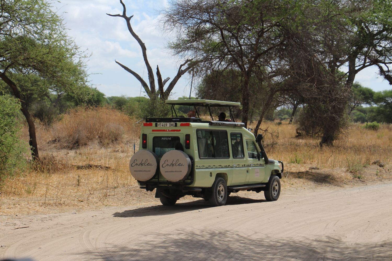 A moment from an Endelea safari