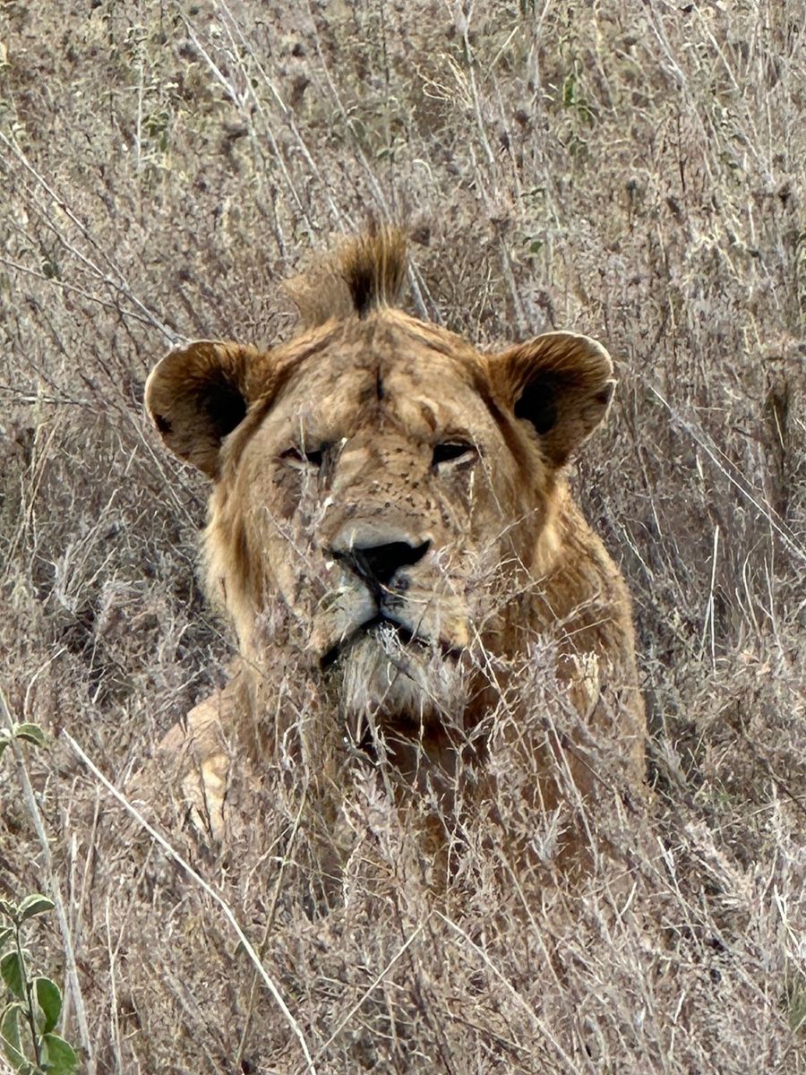 Photo from an Endelea guest — Mexico