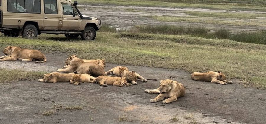 Photo from an Endelea guest — Bengaluru, India
