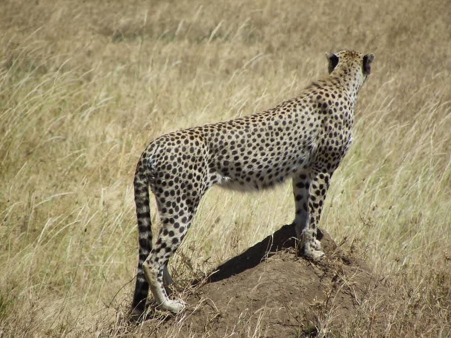 Photo from an Endelea guest — Delhi, India