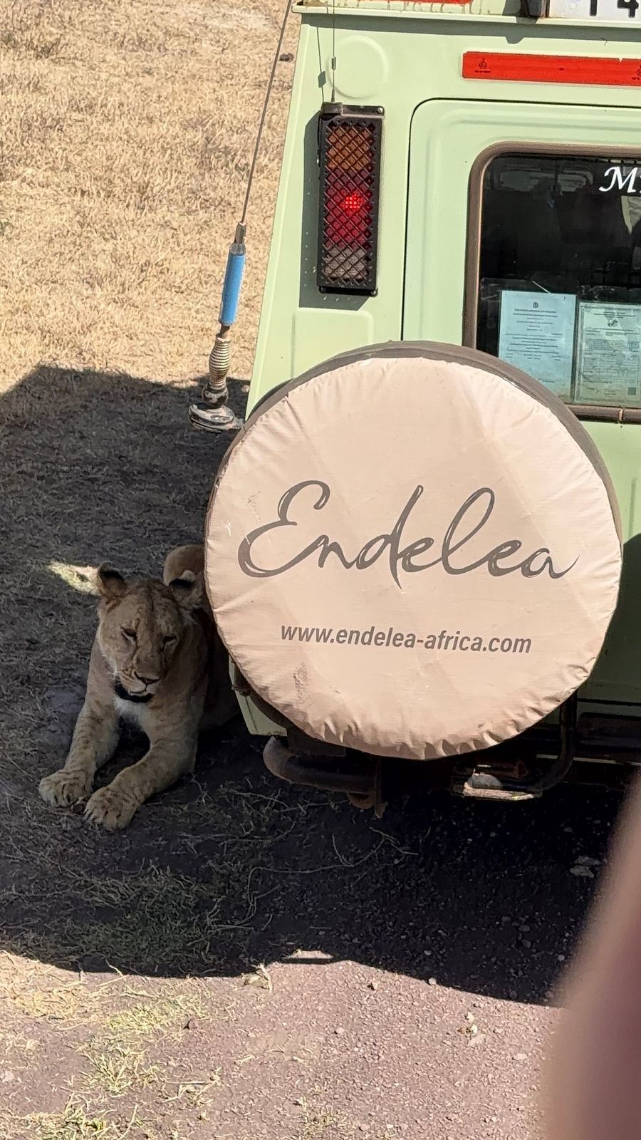 Photo from an Endelea guest — United Kingdom