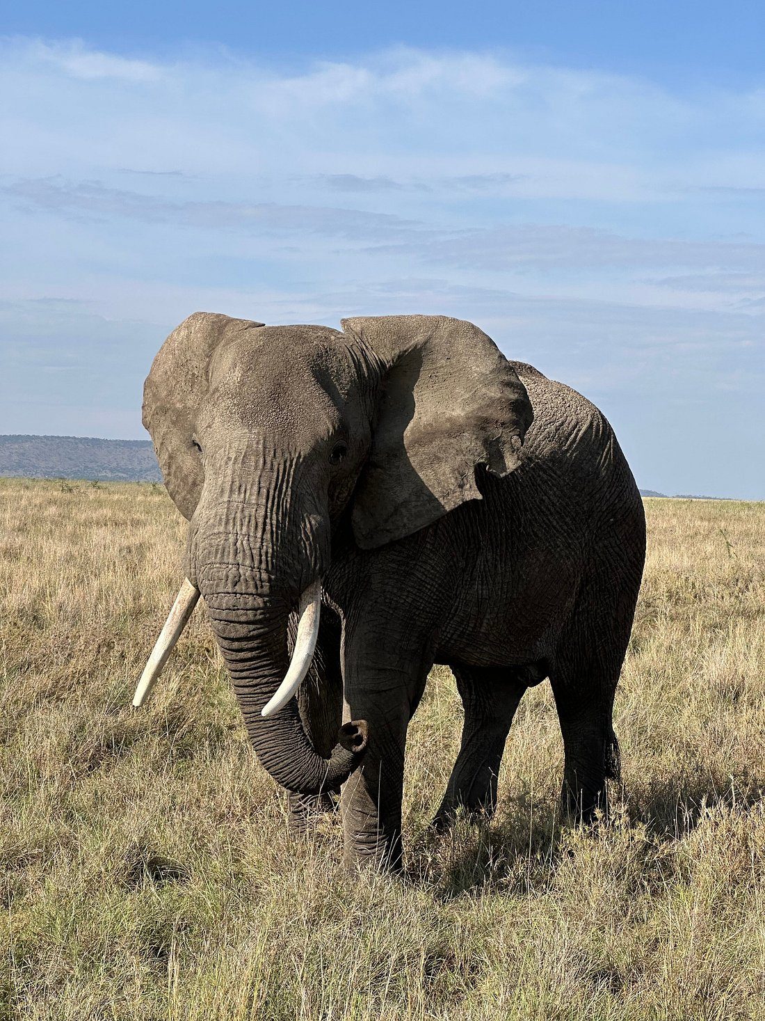 Photo from an Endelea guest — India