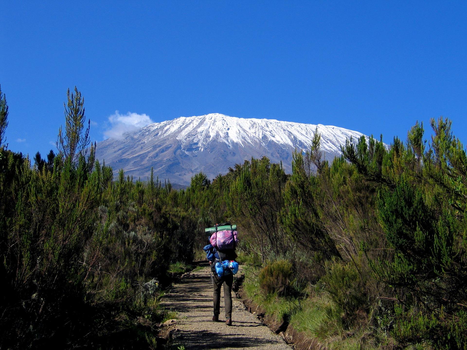 Kilimanjaro Summit and Zanzibar