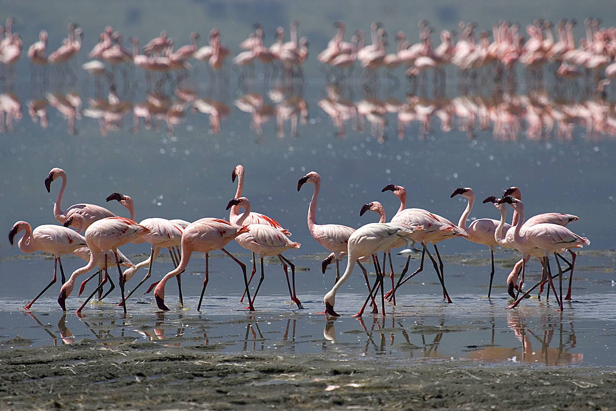 Rift Valley and Ancient Cultures
