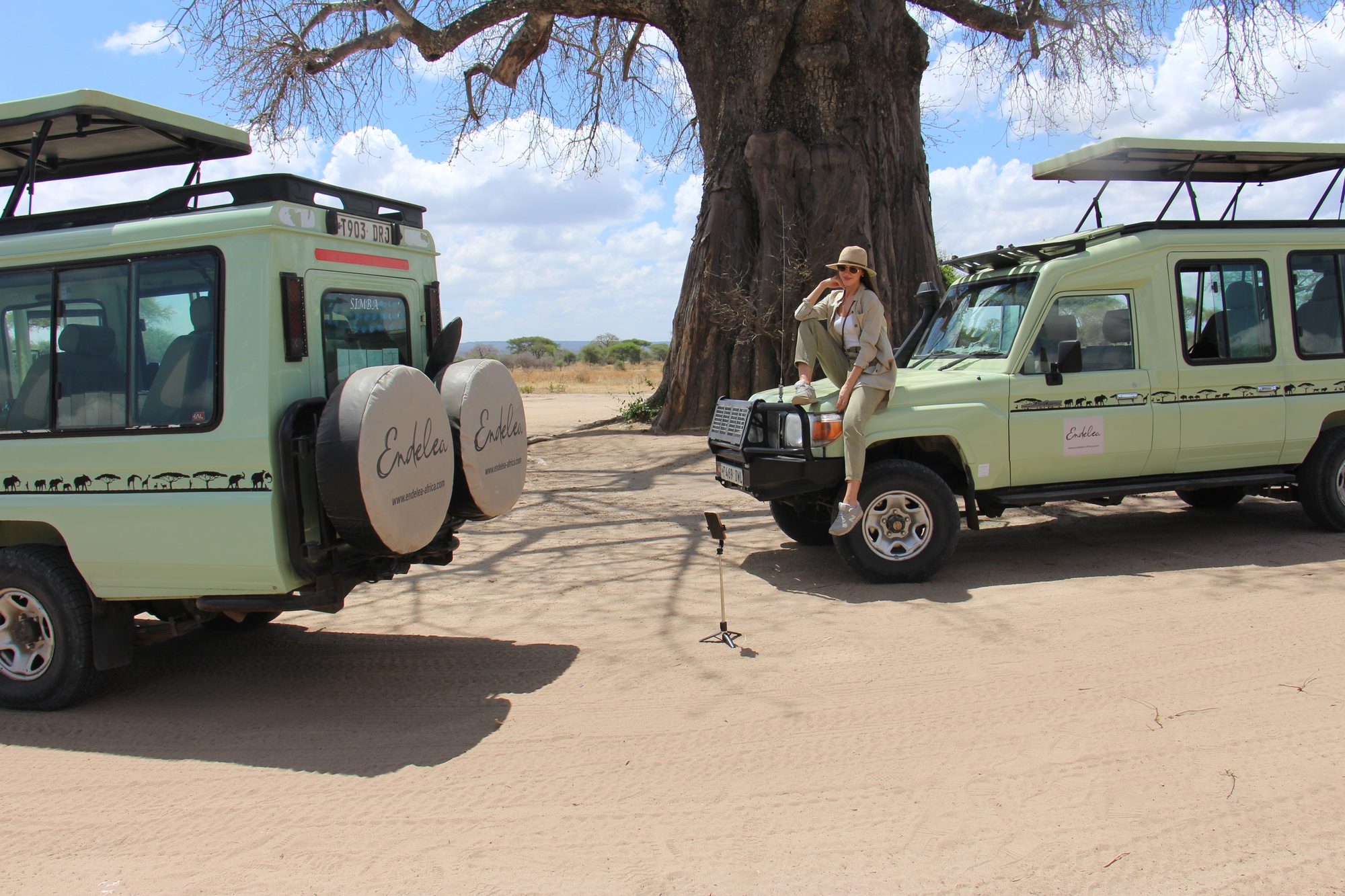 Endelea safari vehicles parked beneath a giant baobab tree