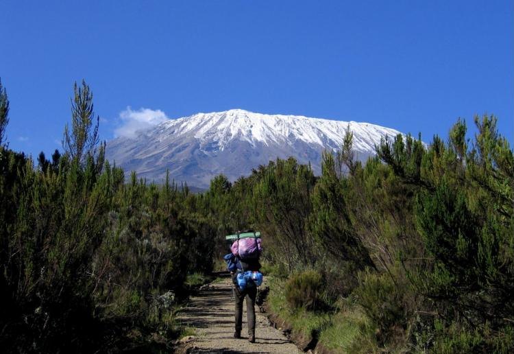 Kilimanjaro Summit & Zanzibar