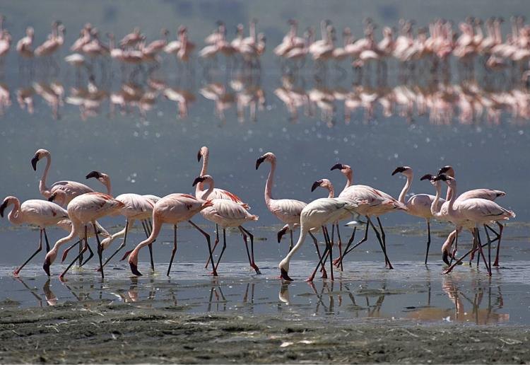 Rift Valley & Ancient Cultures