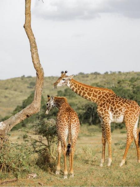 Arusha