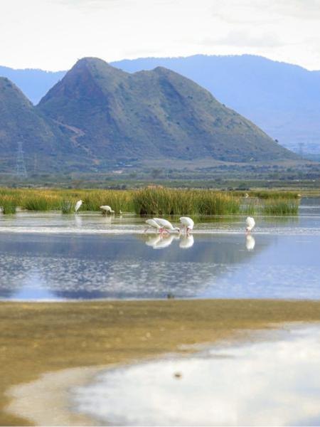 Lake Elementaita