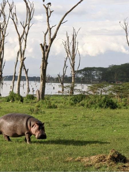 Lake Naivasha