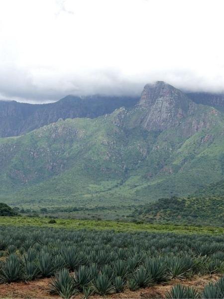 Lushoto (Usambara)