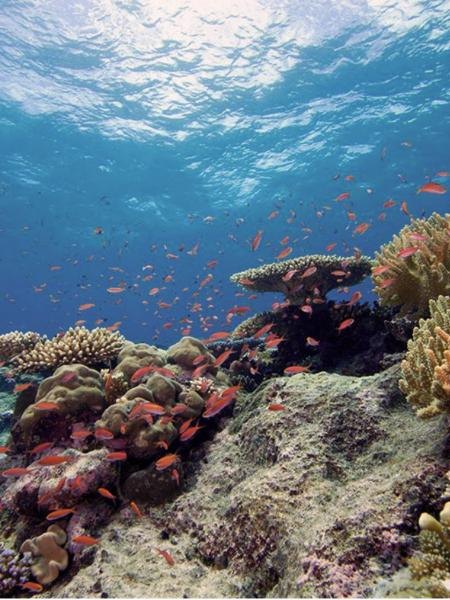 Pemba Island